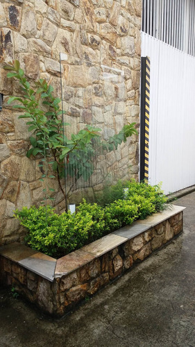 Galpao - Ga033 - 67781026