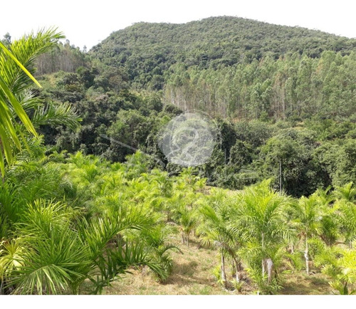 Imagem 1 de 18 de Sítio Para Venda Em Jacutinga Mg - Imobiliária Em Campinas - St00004 - 69577073