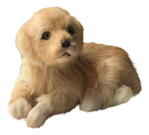 2021 Juguete De Peluche Simulación Animal Modelo Golden Re T