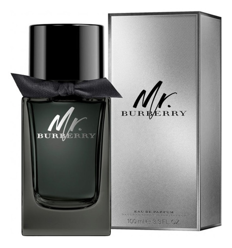 Mr. Burberry Masculino Eau De Parfum  100ml