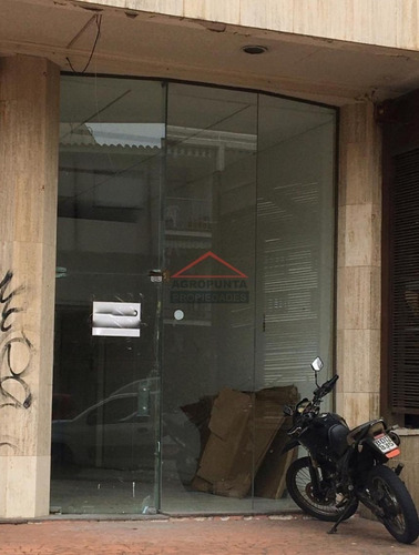Local Comercial * Peninsula- Ref: 4677