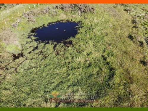 Chacra 10 Has En Venta - Monoambiente En Sauce