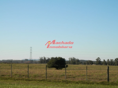 Imagen 2 de 7 de Venta De Chacra En Manantiales