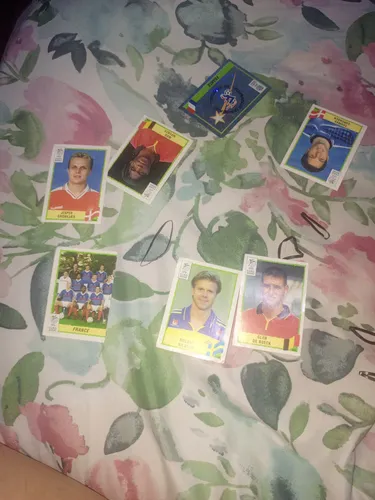 Álbum Panini Euro 2000 (Usado)
