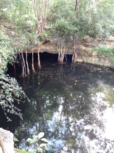 Ranch Close To  Merida With Cenote Private Property