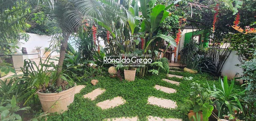 Imagem 30 de 30 de 2 Dorms , 2 Suites, 4 Vagas , 276m² - A8175
