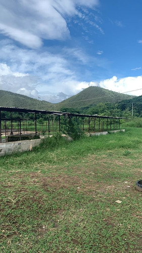 Finca Agropecuaria En Montalbán Cod. Indif-046