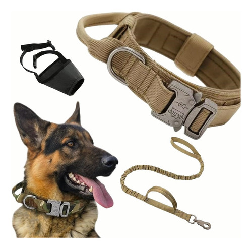 Collares Táctico Y Cuerda Para Perros Medianos Y Grandes Color Caqui Tamaño Del Collar Xl