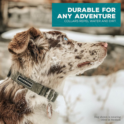 Wilderdog Collar Impermeable Para Perros - Repele El Agua Y
