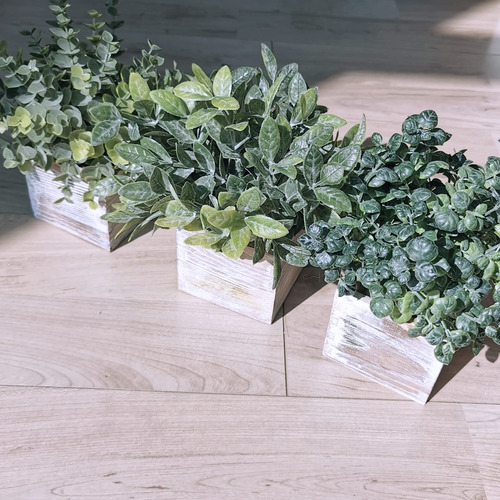 Planta Artificial Eucalipto Con Maceta Madera Cuadrada 3 Pz