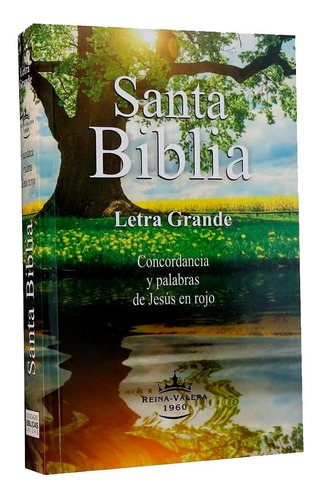 Biblia Letra Grande Tapa Rústica, Reina Valera 1960