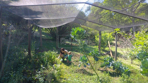 Imagem 9 de 20 de Chácara À Venda Em Colinas Do Atibaia - Ch003759