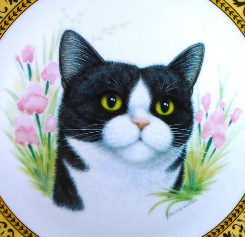 Plato De Porcelana  Pintado Con Hermoso Gato Tuxedo 27cm