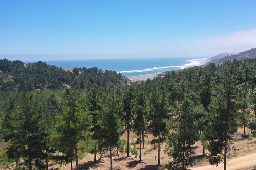 Excelente Terreno En Boyeruca