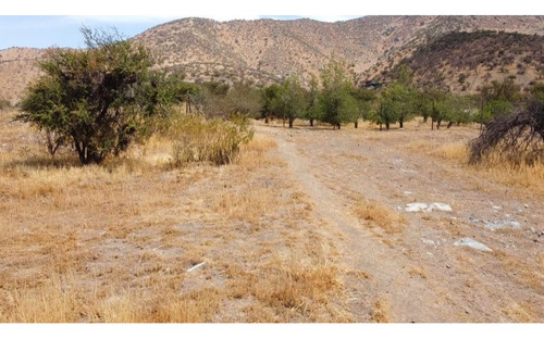 Venta Sitio 5.600 M2 En Condominio Santa MarÃa Chamisero 1
