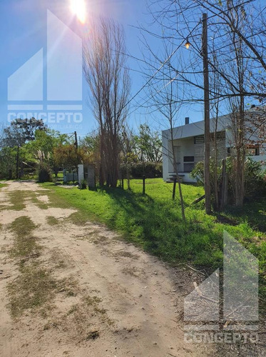 Imagen 8 de 11 de Terreno - Villa California