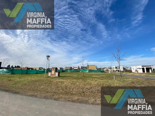 Imagen 1 de 23 de Terreno - Countries/b.cerrado (manzanares)