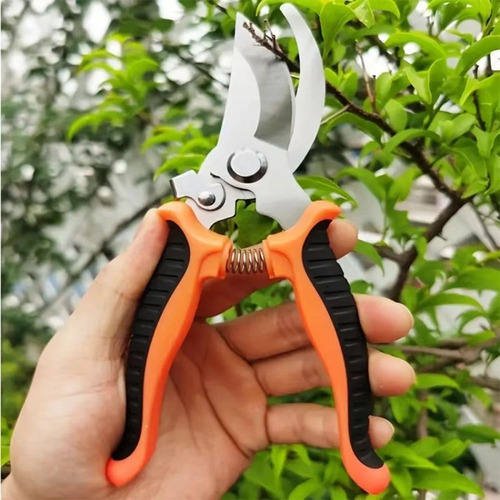 Tijeras Hortícolas Con Forma De Pico De Pájaro