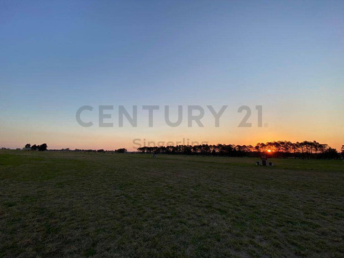 Imagen 7 de 9 de Barrio Privado El Pirincho Aero Country Club