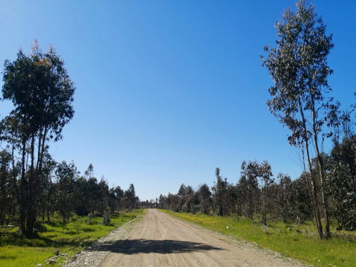 Parcelas Para Vivir Cerca Chillán Y De Comercio