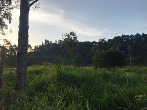Imagem 12 de 29 de Fazenda À Venda, 3509000 M² Por R$ 2.000.000 - Centro - Pariquera-açu/sp - Fa0216