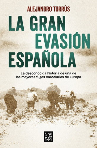 La Gran Evasion Espaãâola, De Torrus, Alejandro. Editorial B (ediciones B), Tapa Blanda En Español