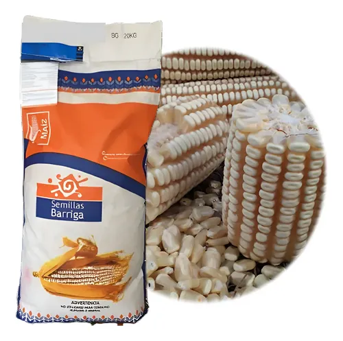 Semilla Maiz Hibrido Blanco Cuatero H-377 1 Bulto | Envío gratis