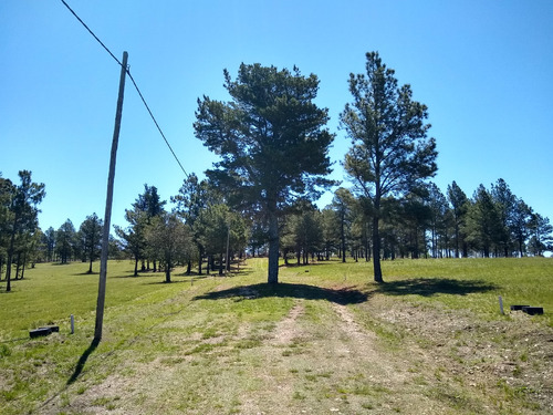 Lote En Barrio Cerrado Yacahuasi (villa Yacanto, Córdoba)