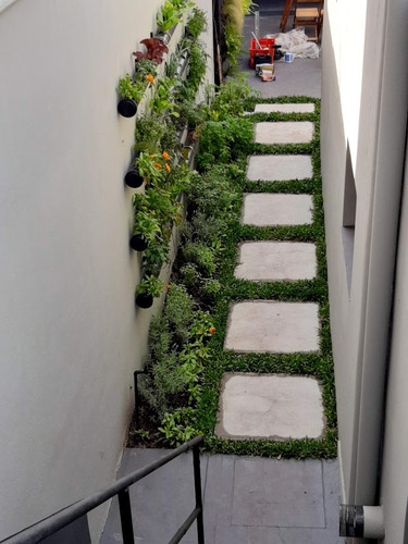 Diseño De Interiores Y Espacios Verdes