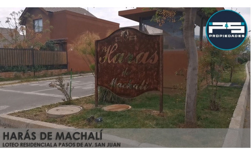 Haras De Machali - Hermosa Propiedad En Arriendo