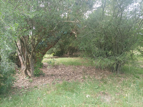 Chacra De 3 Hectáreas En Los Cerrillos.