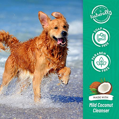 Shampoo Tropiclean De Aveia E Melaleuca Para Alívio Da Cocei