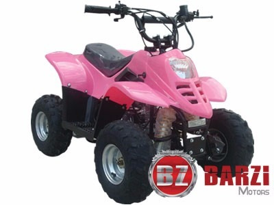 Quadriciclo 4 Tempos Infantil 110cc Barzi Motors Bz Flash