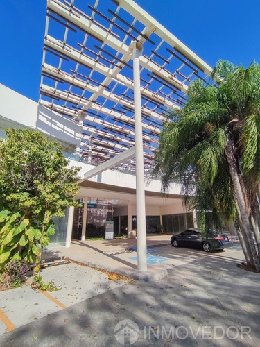 Local Comercial · Oficinas · Blvd. Luis Donaldo Colosio · Sm311 · Av. Alamos
