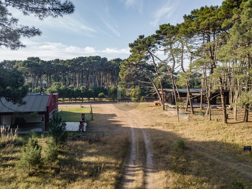 Imagen 3 de 11 de Nuevas Condiciones !! Lote En Venta - Alamos Ii Pinamar
