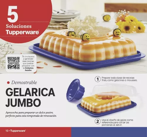  TUPPERWARE - Gelarica Jumbo, Molde para Gelatinas. 3L. Súper  descuento. 