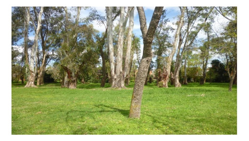 Vendo ¡urgente! Lote En El Paraiso Country Club.