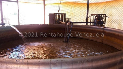 Imagen 3 de 15 de Finca En Venta Tinaquillo Cojedes Gav