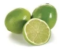 comprar Lima Tahiti-- Ideal P\u002F Caipiriña.-injert, De 1,50 Lt.ramif-