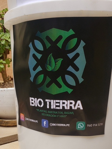 Imagen 7 de 8 de Venta De Lombriz 100% Roja Californiana Para Tu Biohuerto