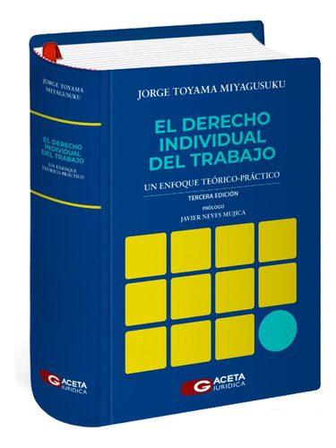 El Derecho Individual Del Trabajo Enfoque Teórico Práctico