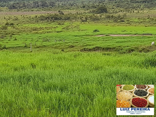 Imagem 9 de 14 de Fazenda À Venda Em Anapu - Pa - De 400 Alqueirões (pecuária) - 1661
