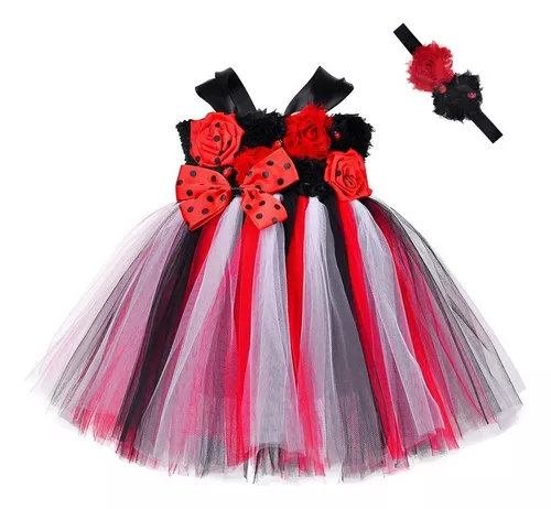 Lito Angels Vestido de Ladybug para Bebé Niña Disfraz de Mariquita Falda de  Lunares Rojo Talla 1218 Meses Número de etiqueta 80  Amazones  Juguetes y juegos