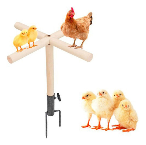 Fweaad Juguete De Percha Para Pollo, Accesorios Para