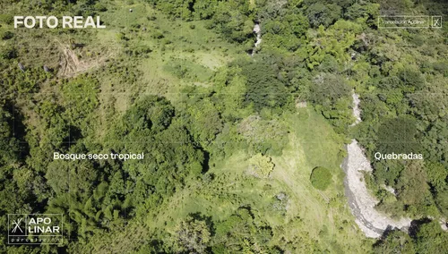 Proyecto De Lotes En San Jerónimo