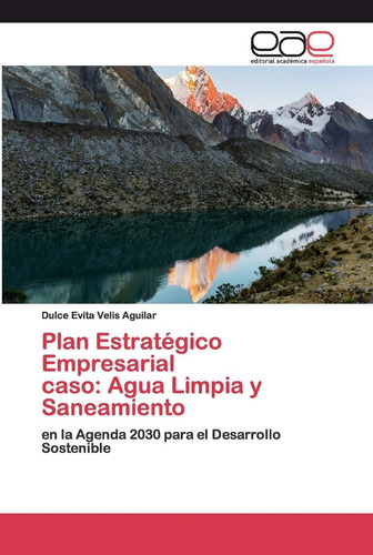 Libro: Plan Estratégico Empresarial Caso: Agua Limpia Y Sane