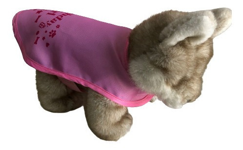 Ropa Pechera Mascotas Perro Cumpleaños Birthday Girl - 20cm