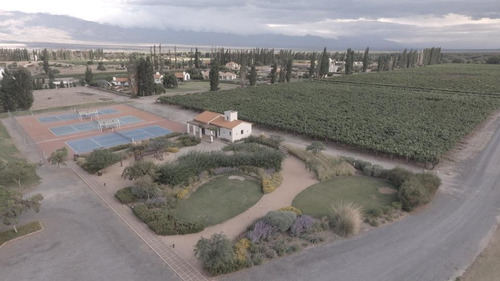 Terreno - Cafayate