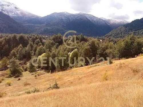 Oportunidad De Compra Sector Turístico 5.000m2