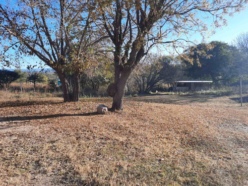 Imagen 16 de 19 de Venta Lote Con Mejoras Estancia Vieja